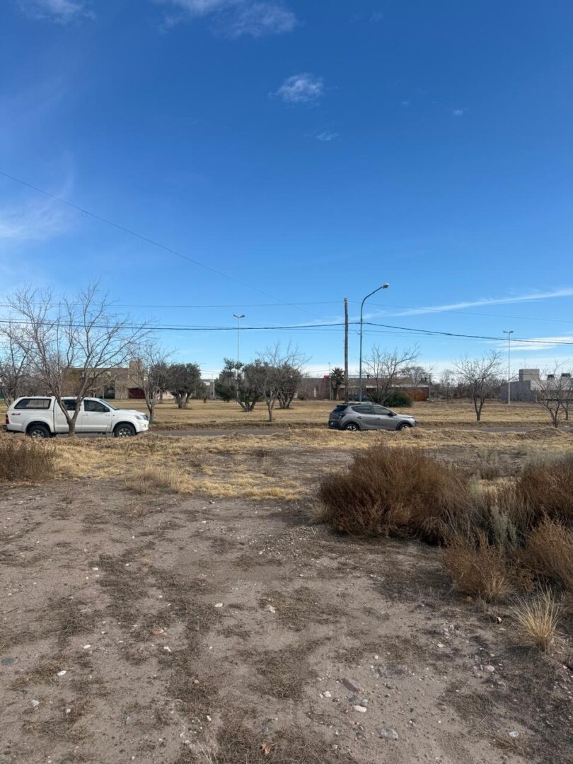 WhatsApp Image 2025-09-15 at 08.22.57