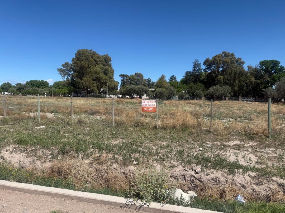 WhatsApp Image 2025-10-27 at 10.10.56